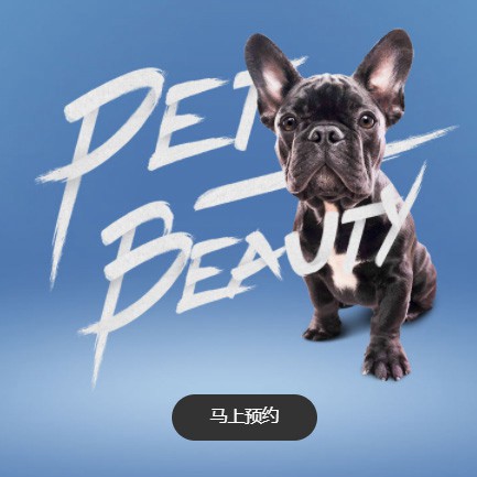 建昌宠物中心小程序开发